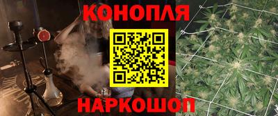jwh Будённовск