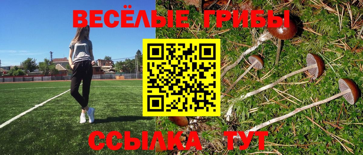 Саров  Галлюциногенные грибы ЛСД  Вход с VPN 