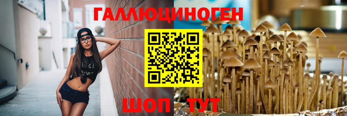 Галлюциногенные грибы мицелий Саров